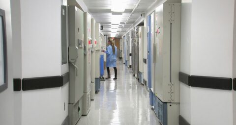 Healthcare M&A: What Actually Drives Deal Quality and Transaction Risk